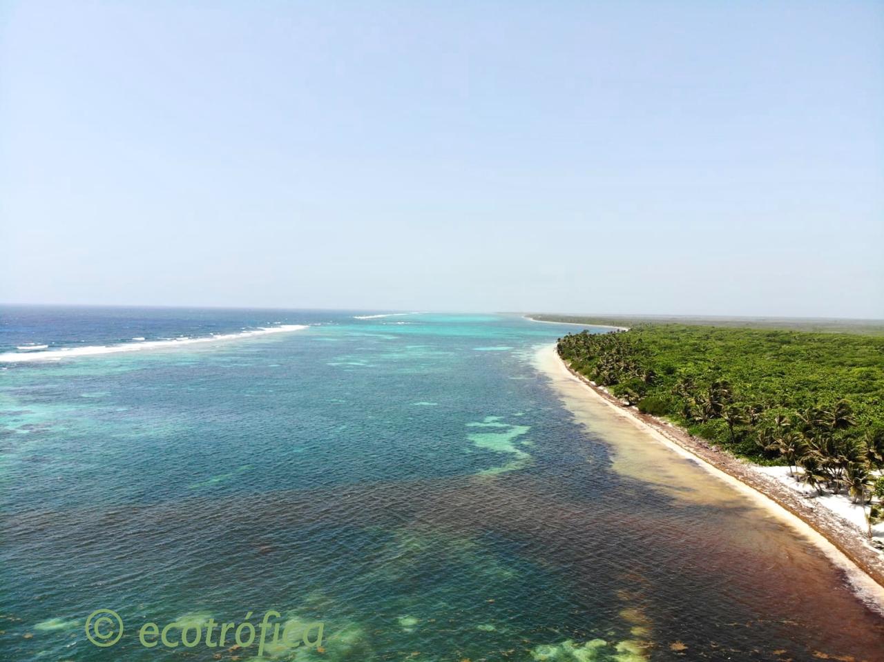 Coastline and detail of a plume of Sargassum arriving