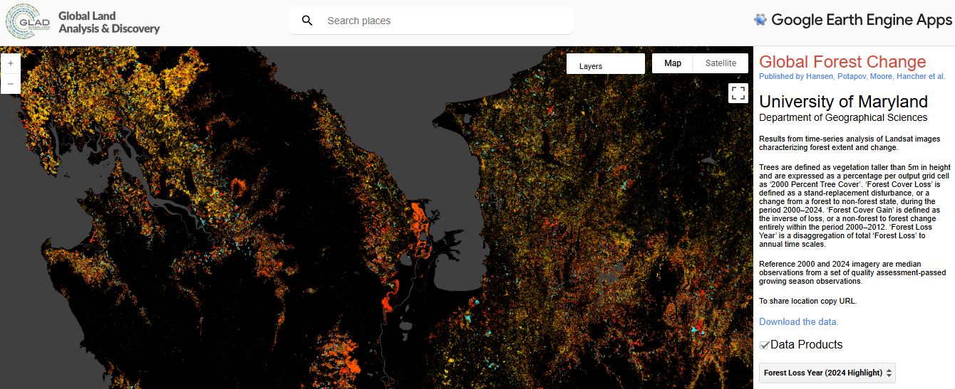 Global Forest Change